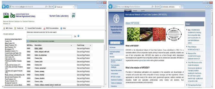 USDA와 FA O식품영양정보 제공 홈페이지