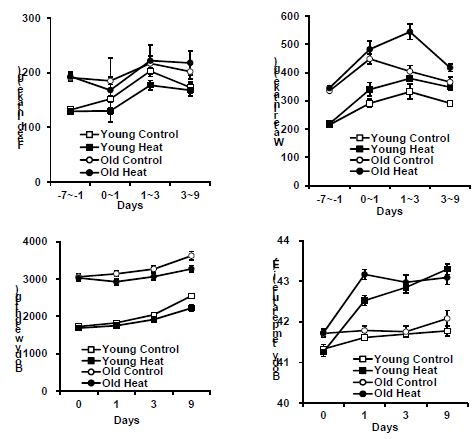 Effects of age on feed intake, body weight, water intake and body temperature in broilers exposed to heat stress