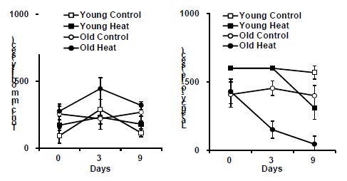 Effects of age on tonic immobility (TI) and latency-to-lie (LTL) in broilers exposed to heat stress