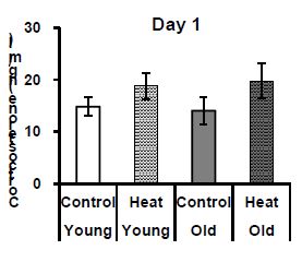 Effects of age on cortocosterone concentrations in broilers exposed to heat stress