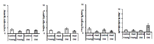 Effects of age on gene expression in the liver of broilers exposed to heat stress