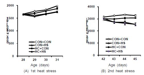 Effects of early age heat conditioning on body weight in broilers repeatedly exposed to heat stress