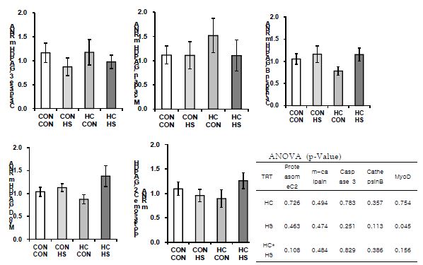 Effects of early age heat conditioning on gene expression in breast muscles of broilers repeatedly exposed to heat stress