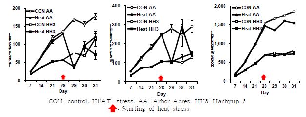 Effects of heat stress on feed intake, water intake and body weight in Arbor Acres broilers and Hanhyup-3, a Korean native chicken