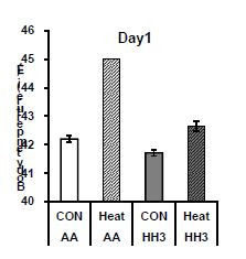 Effects of heat stress on body temperature in Arbor Acres broilers and Hanhyup-3, a Korean native chicken, both of which had the same body weight at the time of the start of treatments