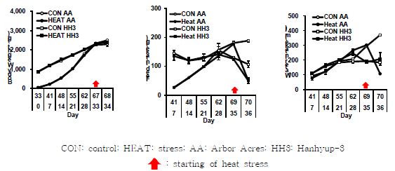 Effects of heat stress on body temperature in Arbor Acres broilers and Hanhyup-3, a Korean native chicken, both of which had the same body weight at the time of the start of treatments