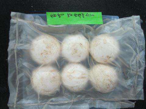 GSE가 첨가된 보리 단백질 필름으로 포장한 양송이버섯.