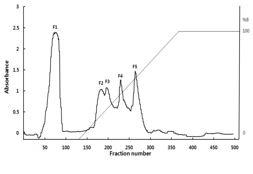 보리 단백질 가수분해물을 20 mM 트리스 버퍼 (pH 8.0)를 용매로 하여Q-Sepharose컬럼으로 이온 교환 크로마토그래피 한 결과