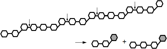 BsβGn의 β-glucan 가수분해 양상