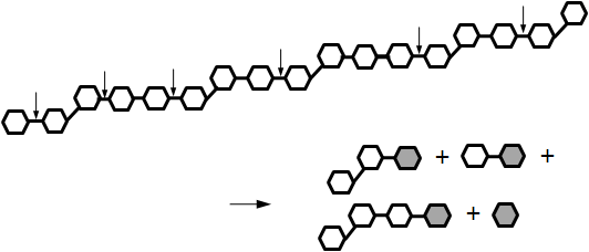 nβGn의 β-glucan 가수분해 양상