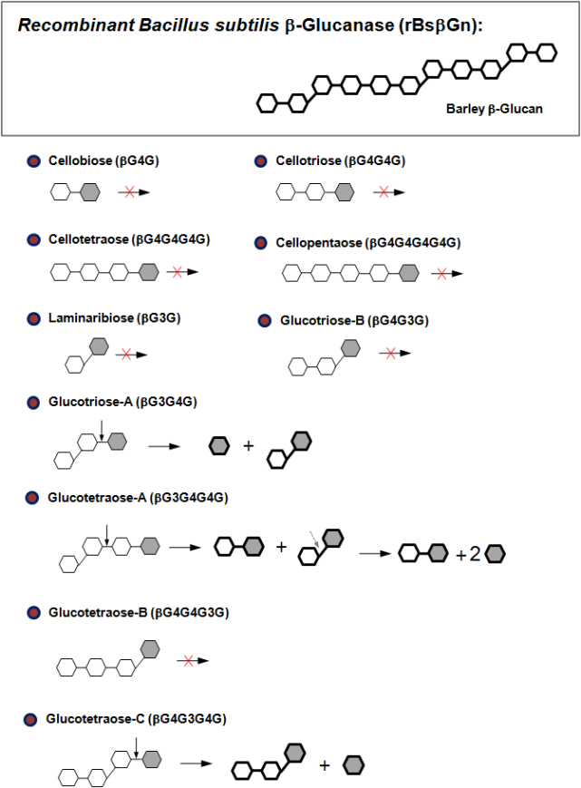 대장균 재조합 BsβGn에 의한 다양한 β-glucoolosaccharide의 가수분해 양상