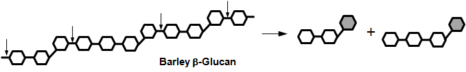 대장균 재조합 BsβGn에 의한 다양한 β-glucan의 가수분해 양상