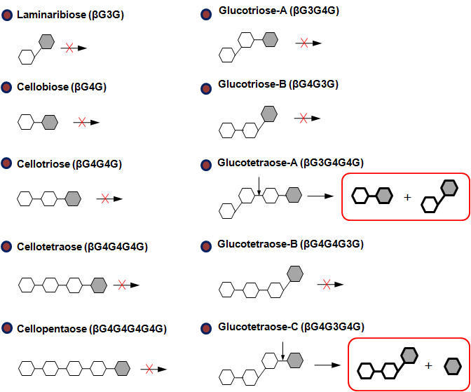 대장균 재조합 BaβGn에 의한 다양한 β-glucoolosaccharide의 가수분해 양상