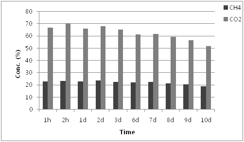 Temporal variation of the standard gas concentration in tedlar bag