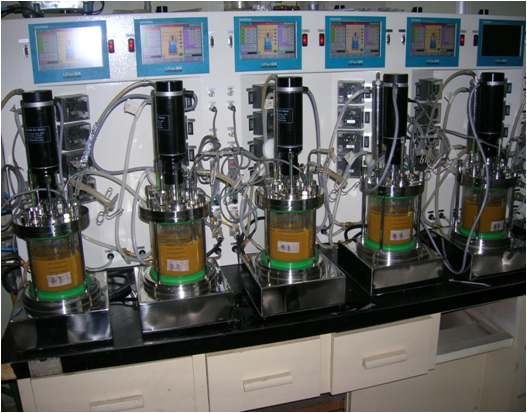 Photograph of multi-fermentor used in this experiments