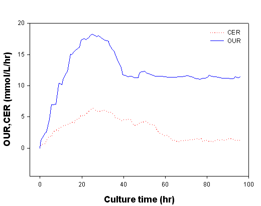Time-course profiles of OUR and CER in batch fermentation of S. crispa in 1L multi-fermentor.