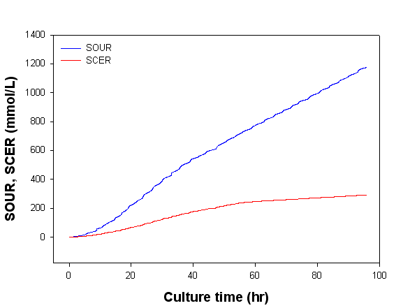 Time-course profiles of SOUR and SCER in batch fermentation of S. crispa in 1 L multi-fermentor