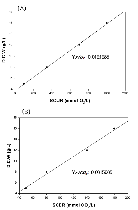 Calculation of cell yield based on (A) oxygen (Yx/o) and (B) carbon dioxide evolved (Yx/co2) in batch fermentation of S. crispa.