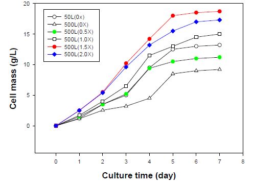 성장배지 농도에 따른 꽃송이버섯 균사체 농도 비교 그래프