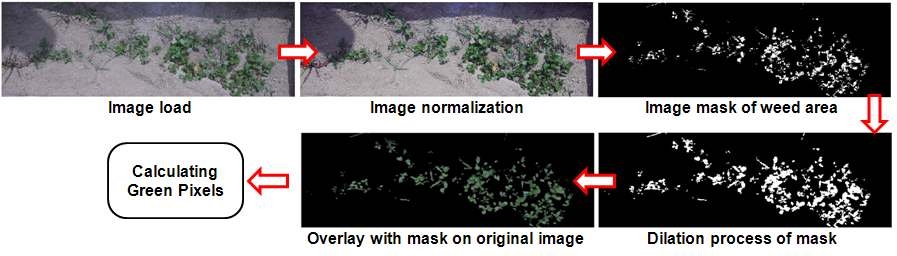 영상처리 과정. 이미지 로드 후, 정규화(위 식). 영상처리 과정을 통해 토양과 잡초를 구분함