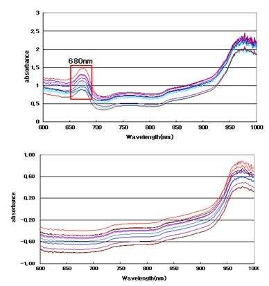 감귤의 스펙트럼 비교 : 껍질有(上), 껍질無(下)