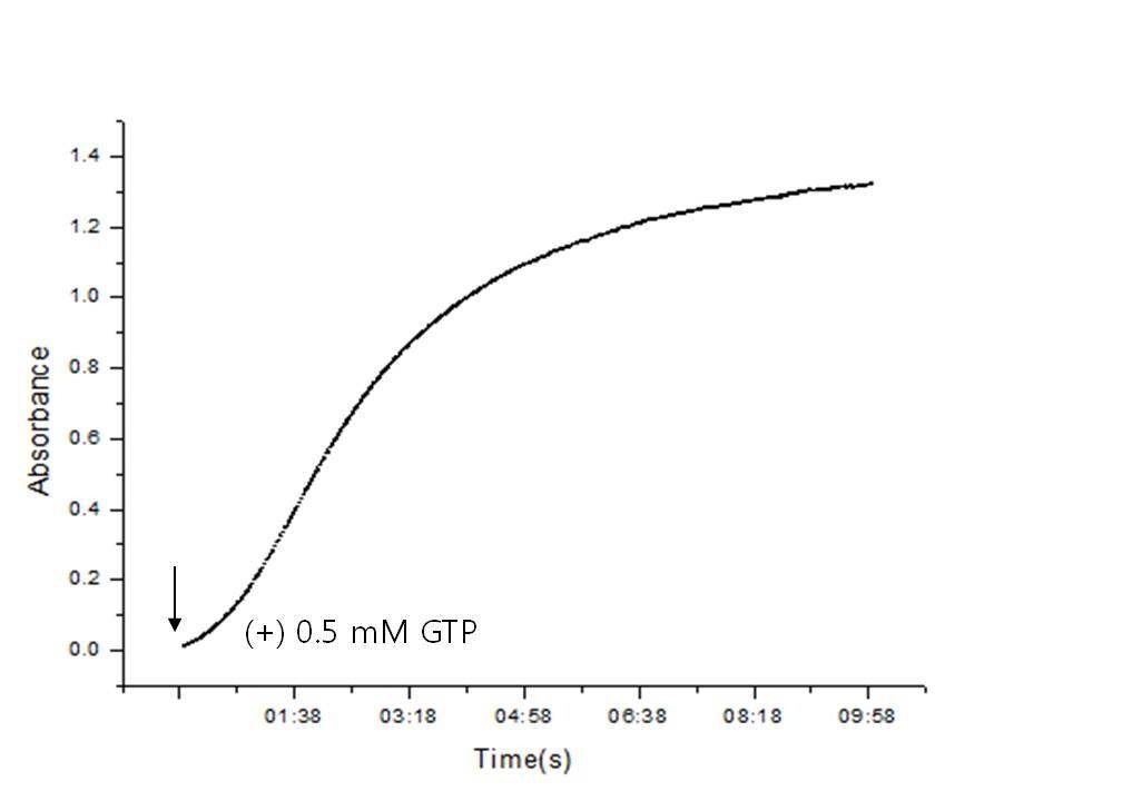 In vitro polymerization of FtsZ protein