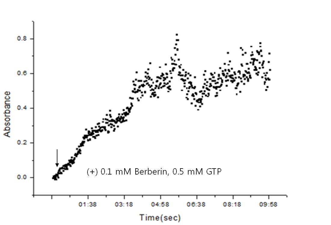 In vitro inhibition polymerization of FtsZ protein by berberin