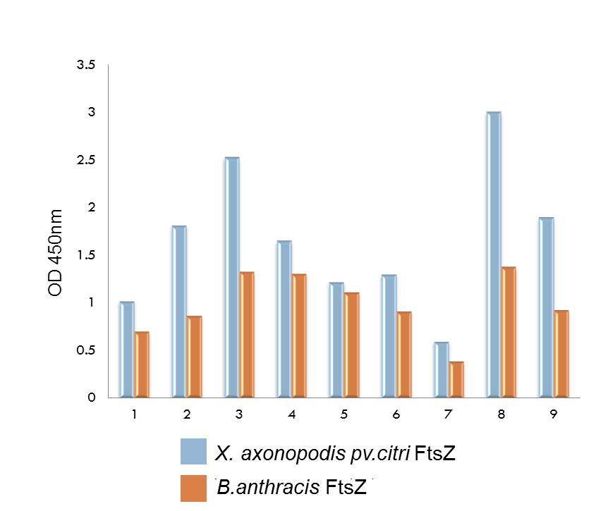 Binding speicificity test of 9 aptamers