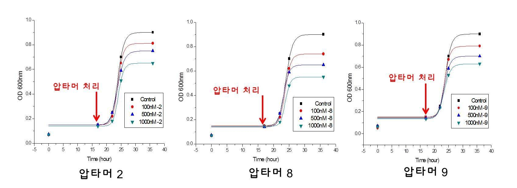 In vivo inhibition test of Xanthomonas growth.