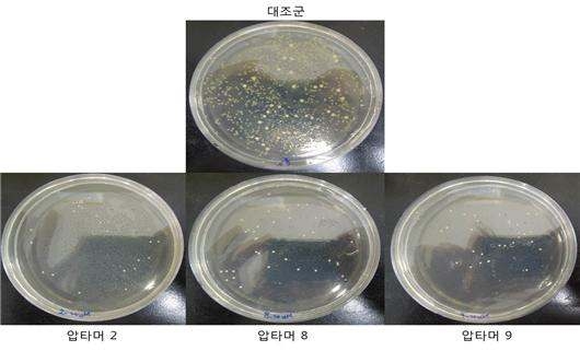 Bacteriostatic test of Xanthomonas growth