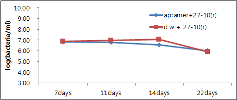 Measurement the number of bacteria after infiltration.