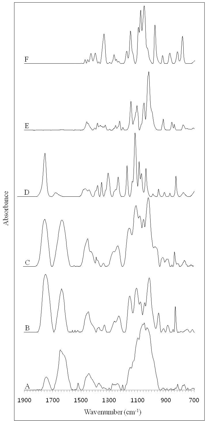 FT-IR spectra of raw citrus peel wastes and sugars: (A) raw citrus peel waste powder, (B) the hydrolysis product of the citrus peel waste, (C) pectin powder, (D) the hydrolysis product of pectin, (E) glucose powder, and (F) fructose powder.