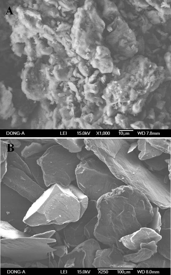 FESEM image of raw citrus peel waste powder and its acid hydrolysate: (A) the citrus peel waste powder and (B) the hydrolysis product of the citrus peel waste.