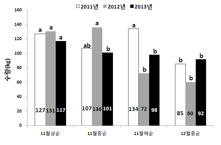 수확시기에 따른 주당 수량의 차이