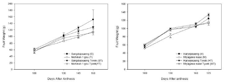 Comparison of fresh weight (g) in fruits at different developmental stages between a treatment with plastic film mulching and control.