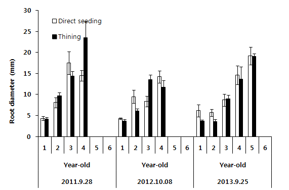 솎아내기 방법으로 재배된 인삼의 연차 및 연생별 근직경 조사결과