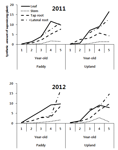 논과 밭토양에서 유기재배된 인삼의 연생에 따른 부위별 사포닌 합성량 조사결과