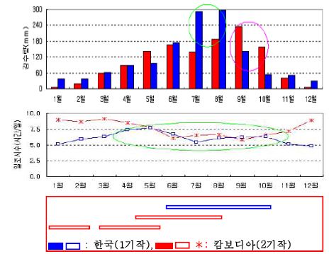밭작물재배기간 중 캄보디아(Banteay Mean Chey)와 한국(대전)의 연간강우량 및 일조시수의 분포(1989～2003 평균)