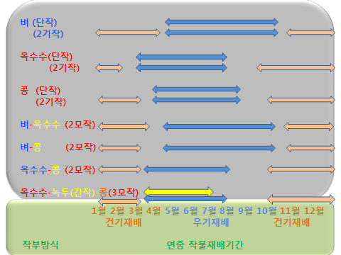 캄보디아에서 연중작물재배기간 중 합리적인 작부체계도