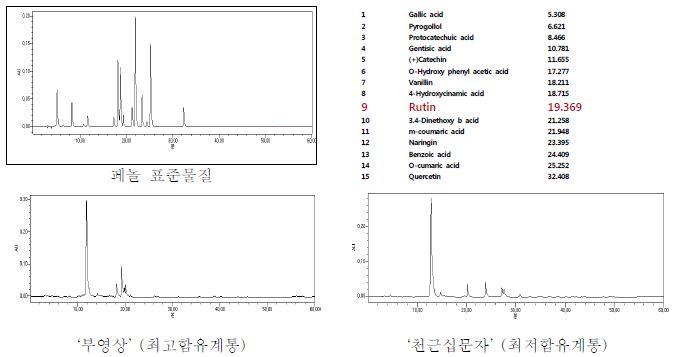 뽕나무 유전자원의 플라보노이드 분석 크로마토그램
