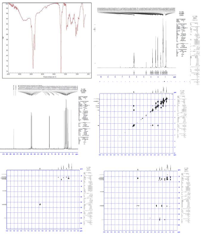 Spectral data (IR, 1H NMR, 13C NMR, COSY, HSQC, HMBC) of compounds code GM-14 A.