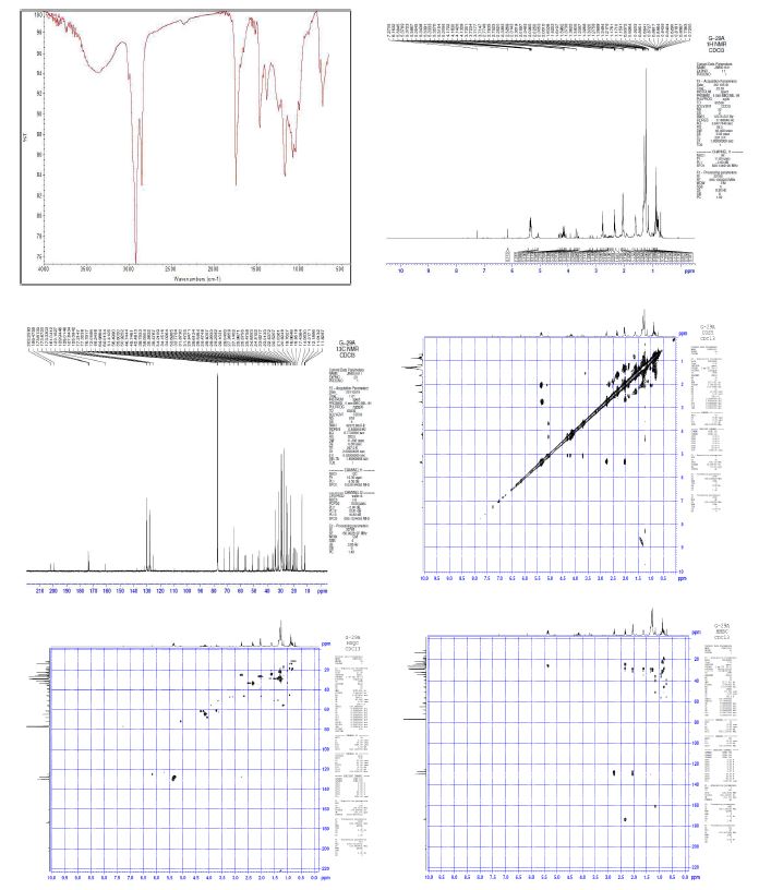 Spectral data (IR, 1H NMR, 13C NMR, COSY, HSQC, HMBC) of compounds code G-29 A