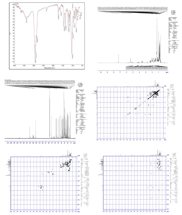 Spectral data (IR, 1H NMR, 13C NMR, COSY, HSQC, HMBC) of compounds code G-30 A.