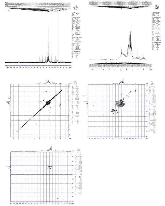 Spectral data (1H , 13C NMR, COSY, HMBC HSQC) of compounds code G-1.