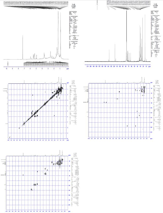 Spectral data(1H , 13C NMR, COSY, HMBC HSQC) of compounds code G-9B.