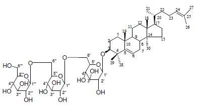 Compound 1 (GM-10, anost-5,24-dien-3β-ol-3β -D-glucopyranosyl-(6' →1' ' )-β-D-glucopyranosyl- (6' ' → 1' ' ' )-β-D-glucopyranoside) 구조.