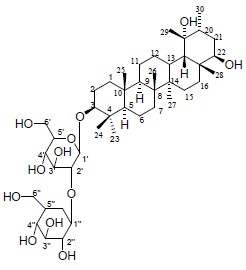 Compound 2 (G-9E, ursan-3β,19 α,22β-triol-3β-D-glucopyranosyl(2' →1' ' )-β -D-glucopyranoside) 구조