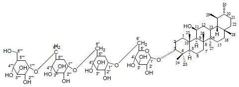 Compound 3 (GM-9F, ursan-3α,11β-diol-3α- D-glucopyranosyl-(6' →1' ' )-α-D-glucopyranosyl-(6' ' →1' ' ' )-α- D-glucopyranosyl-(6' ' ' →1' ' ' ' )-α-D-glucopyranoside) 구조.