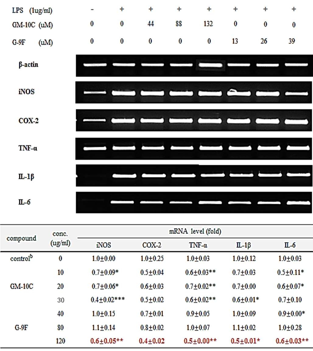 The cells were stimulated with 1ug/ml LPS and treated with various concentrations of compounds for 24h