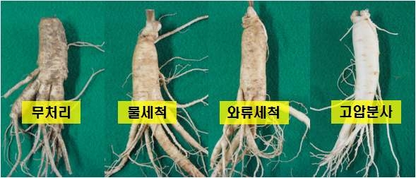 수삼의 세척 효과